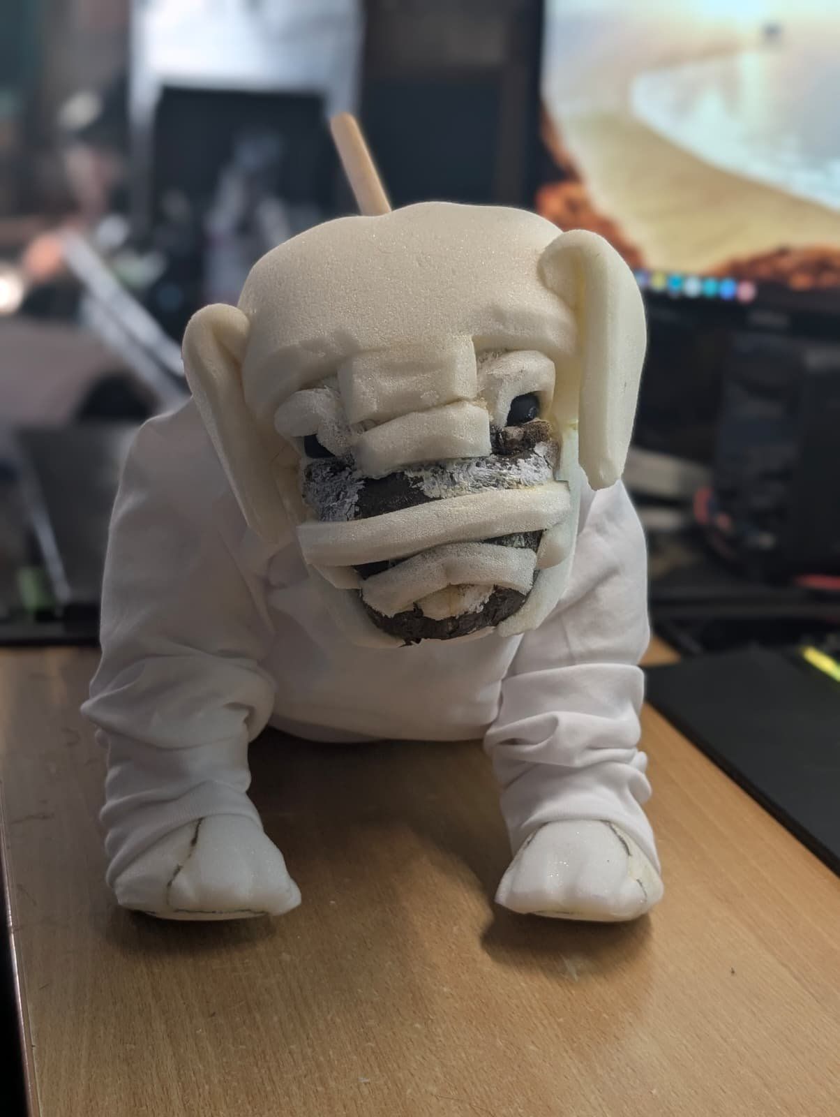 Two toddler t-shirts gave Polly her bulldog puppy rolls.