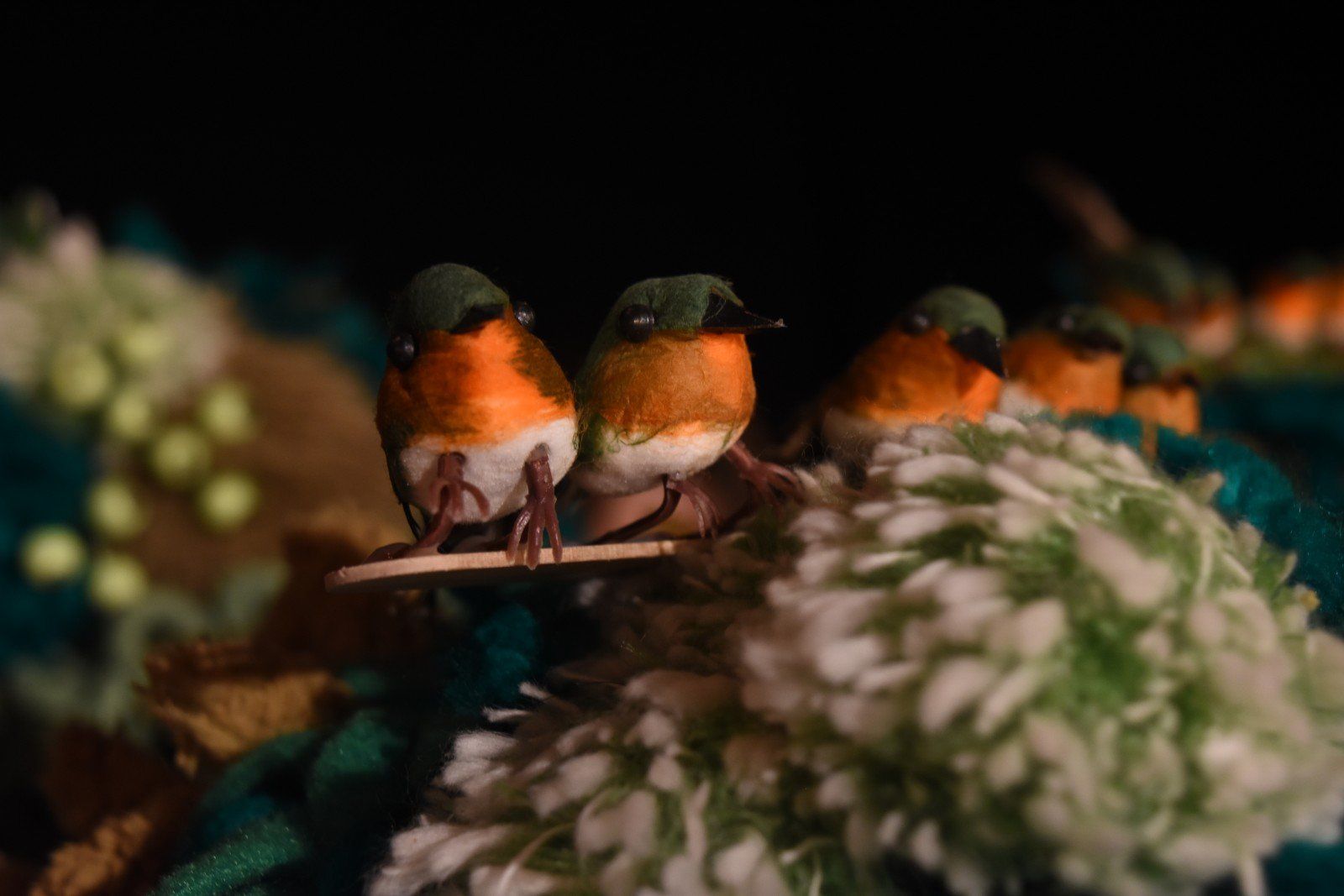 Birds on Oakley’s branches.